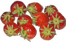 Erdbeeren-A.jpg